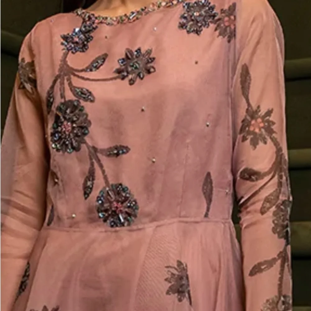 Pakistani embellished light pink organza body-cut dress - Picture 3 of 5